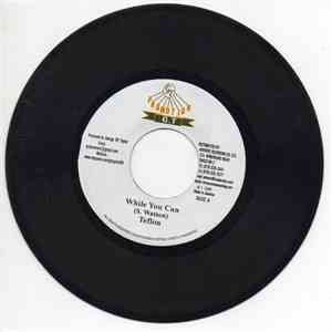 Teflon  / King Hopton - While You Can / Hard Times