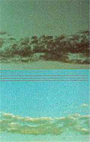 Treetops / Walter Carson - Split