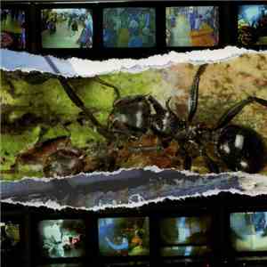 Visitation - Everything Is On The Point Of Decline