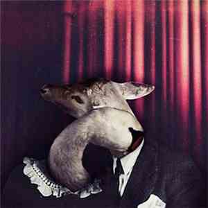 Agent Kooper - Head + Heart
