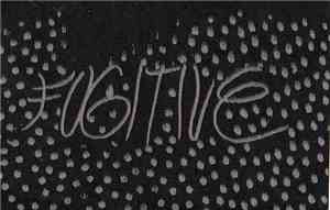 Fugitive  - Rio Preta