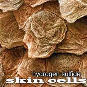 Hydrogen Sulfide - Skin Cells