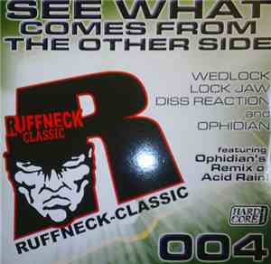 Various - See What Comes From The Other Side
