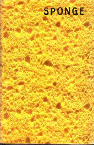 Sponge  - Neenah Menasha / Rotting Piñata