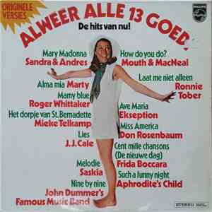 Various - Alweer Alle 13 Goed!