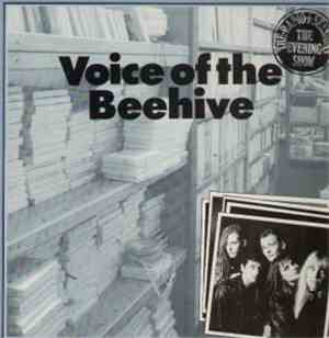 Voice Of The Beehive - The Radio 1 Sessions - The Evening Show