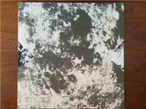 Grouper - A I A : Dream Loss