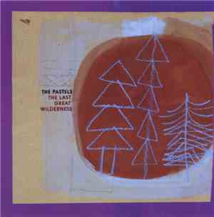 The Pastels - The Last Great Wilderness