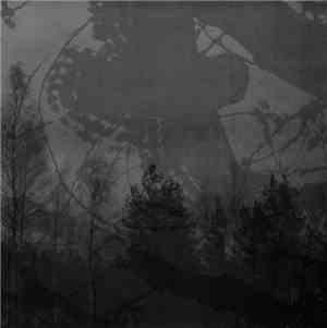 Inmitten Des Waldes / Mortualia - Split