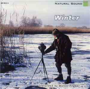 Walter Tilgner - Winter