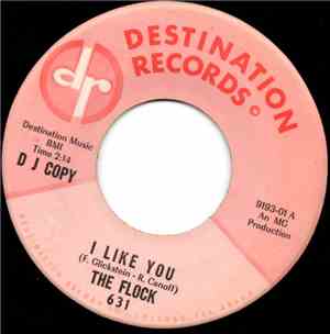 The Flock - I Like You / Are You The Kind