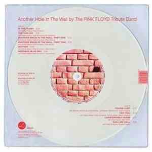 The Pink Floyd Tribute Band - Another Hole In The World