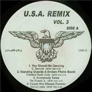 Various - U.S.A. Remix Vol. 3