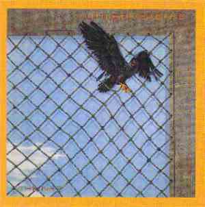 Little River Band - The Net