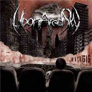 Upon A Red Sky - In A Crises