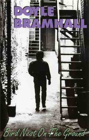 Doyle Bramhall - Bird Nest On The Ground