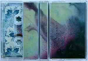 Peat Raamur - Stentor Cilia