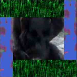 The Golden Gonk - Flickering Greens, Leaking Blues & Exploding Blacks – Liv ...
