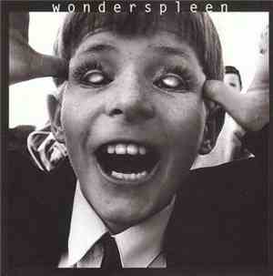 Wonderspleen - Fais Comme Si De Rien