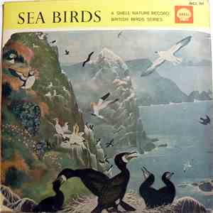 Lawrence Shove - Sea Birds