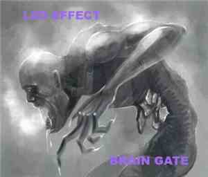 LSD Effect - Brain Gate