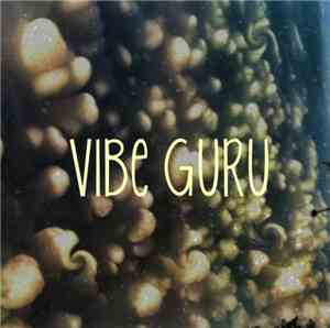 Nick Wisdom - Vibe Guru