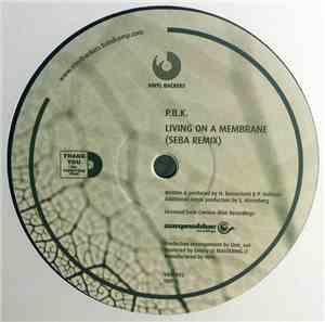 P.B.K. - Seba and Deep Blue Remixes