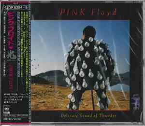Pink Floyd - Delicate Sound Of Thunder
