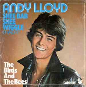 Andy Lloyd - Shee Bab Shee Wiggle (I Had It) / The Birds And The Bees