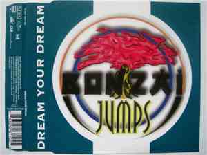 Dream Your Dream - Fliplist