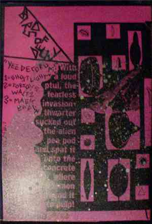 Birds Of Delay - Yee Decorum!