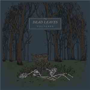 Dead Leaves  - Vultures