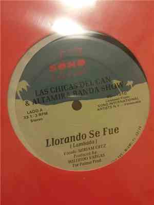 Las Chicas Del Can & Altamira Banda Show / Wilfrido Vargas - Llorando Se Fue / Mala Cabeza