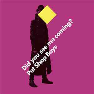Pet Shop Boys - Did You See Me Coming?