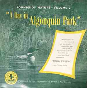 Unknown Artist - A Day In Algonquin Park