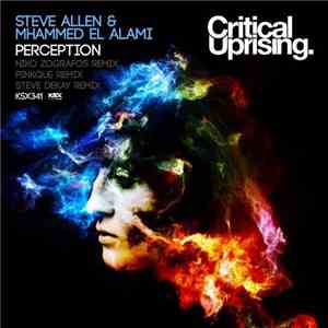 Steve Allen  & Mhammed El Alami - Perception