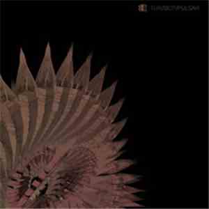 Turzbot - Pulsar