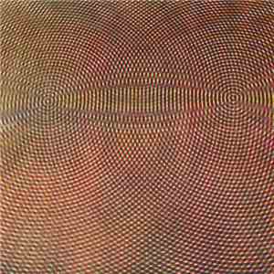Will Freed - Improvisation for Electric Guitar & Wave Machine