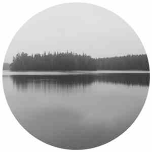 Strck - Tendenz