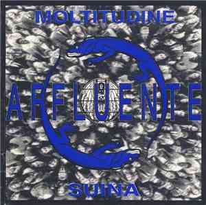 Affluente - Moltitudine Suina