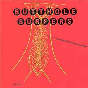 Butthole Surfers - Who Was In My Room Last Night?