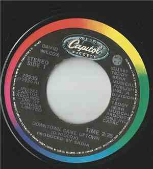 David Wilcox  - Downtown Came Uptown