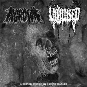 Ingrown, Liquidised - A Rotten Corpse In Decomposition