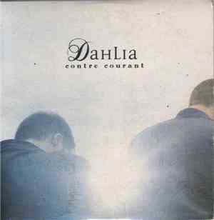 Dahlia  - Contre Courant