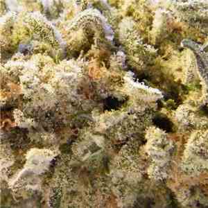 Dope Smoker - Marijuana