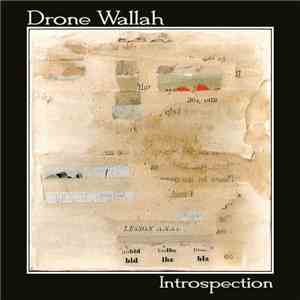 Drone Wallah - Introspection