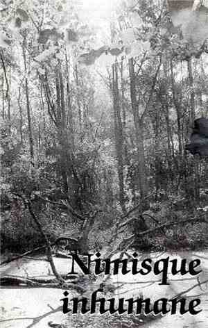 Panchrysia - Nimisque Inhumane