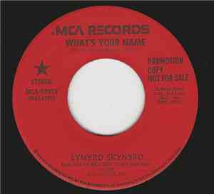 Lynyrd Skynyrd - What's Your Name