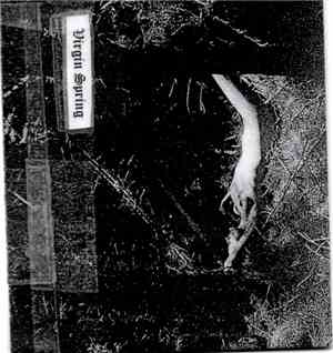 Virgin Spring - Untitled