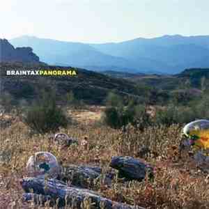 Braintax - Panorama